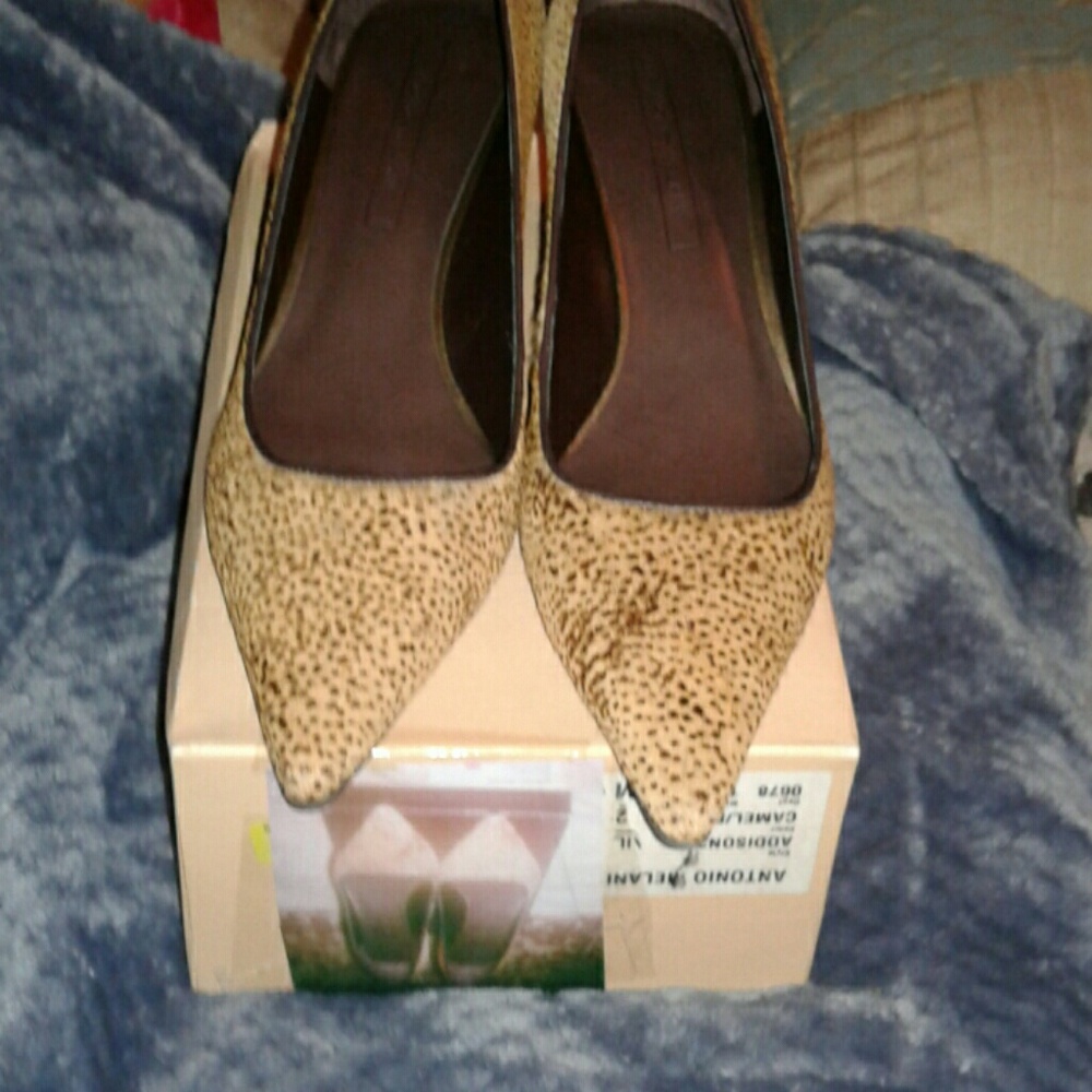 Ladies Shoes